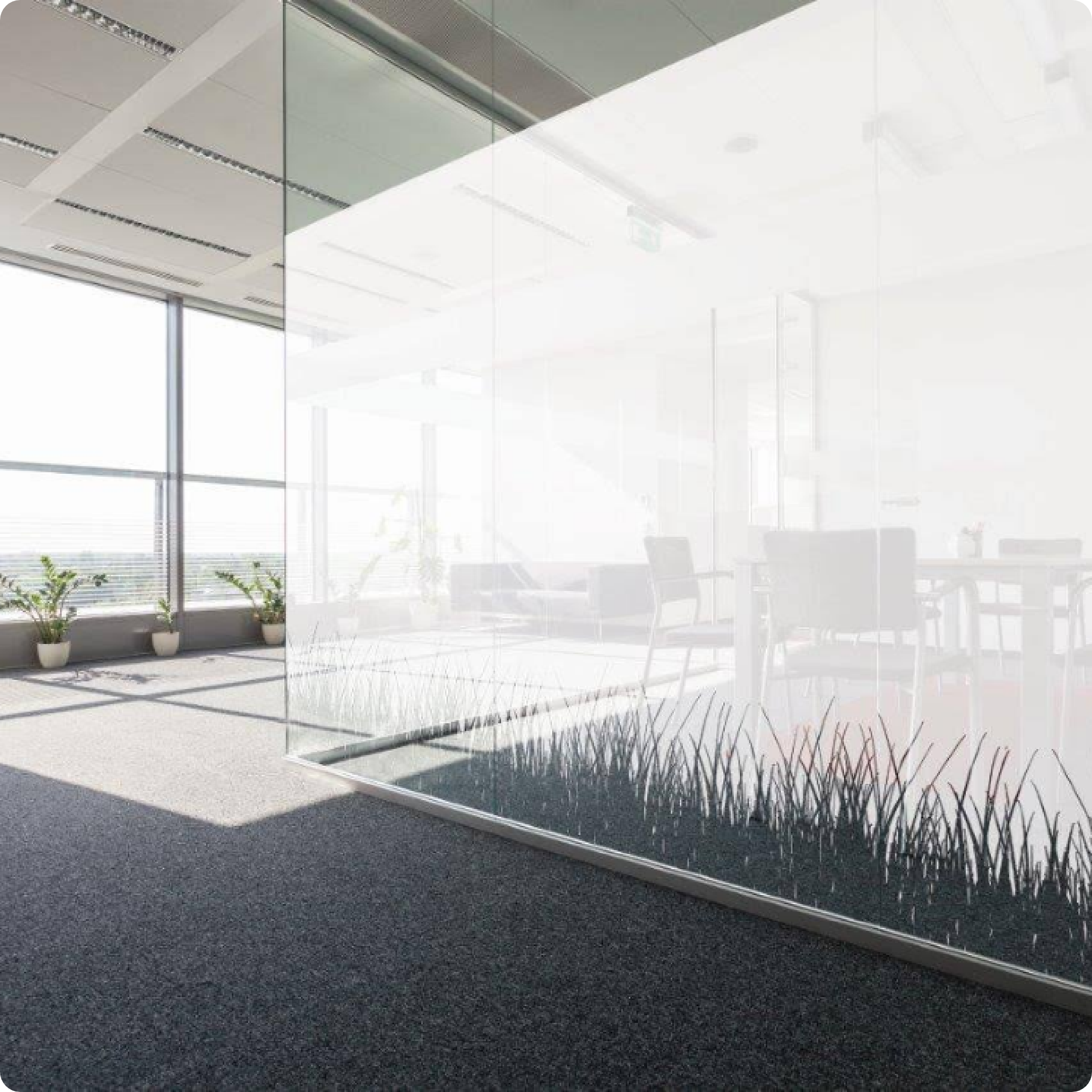 Dekoratiivkile klaasseina kujundus - ruumi jaotus